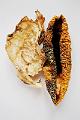 nature morte